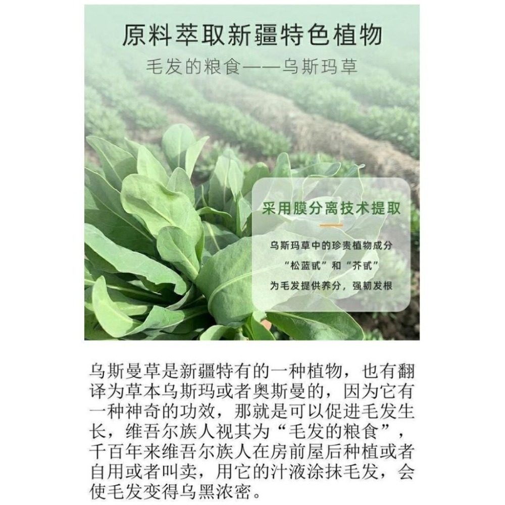 烏斯曼洗髮皂 烏斯瑪草洗頭皂 深層滋養髮根 新疆烏斯曼草洗髮皂 防脫 控油 洗頭餅 洗髮餅-細節圖9