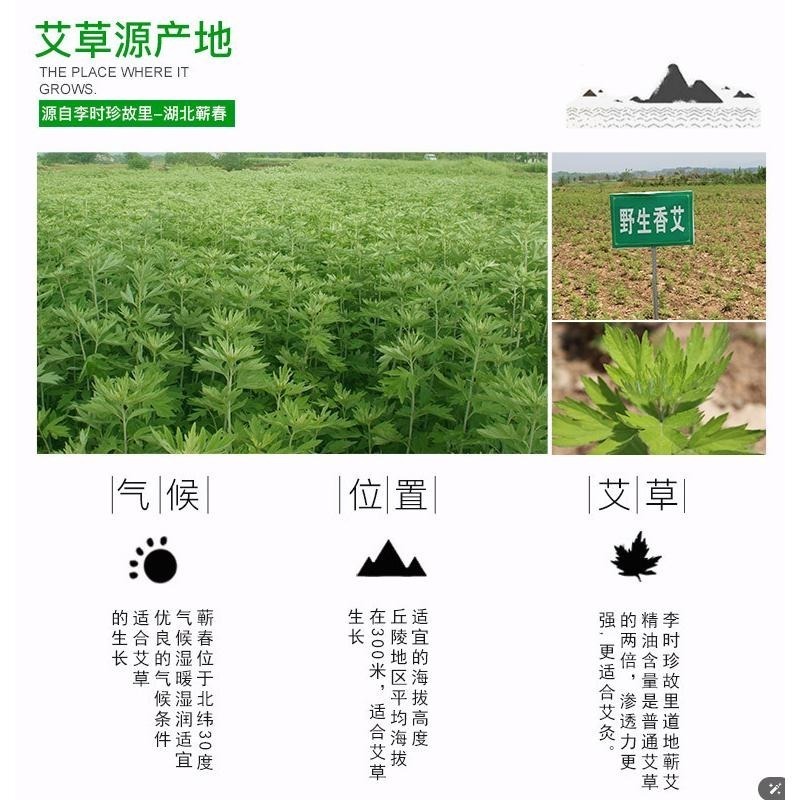 艾草眼貼 藍莓葉黃素眼貼 冷敷眼膜 冰涼眼貼 草本配方 眼膜貼 眼膜 眼貼 冷敷眼貼 緩解眼疲勞-細節圖2