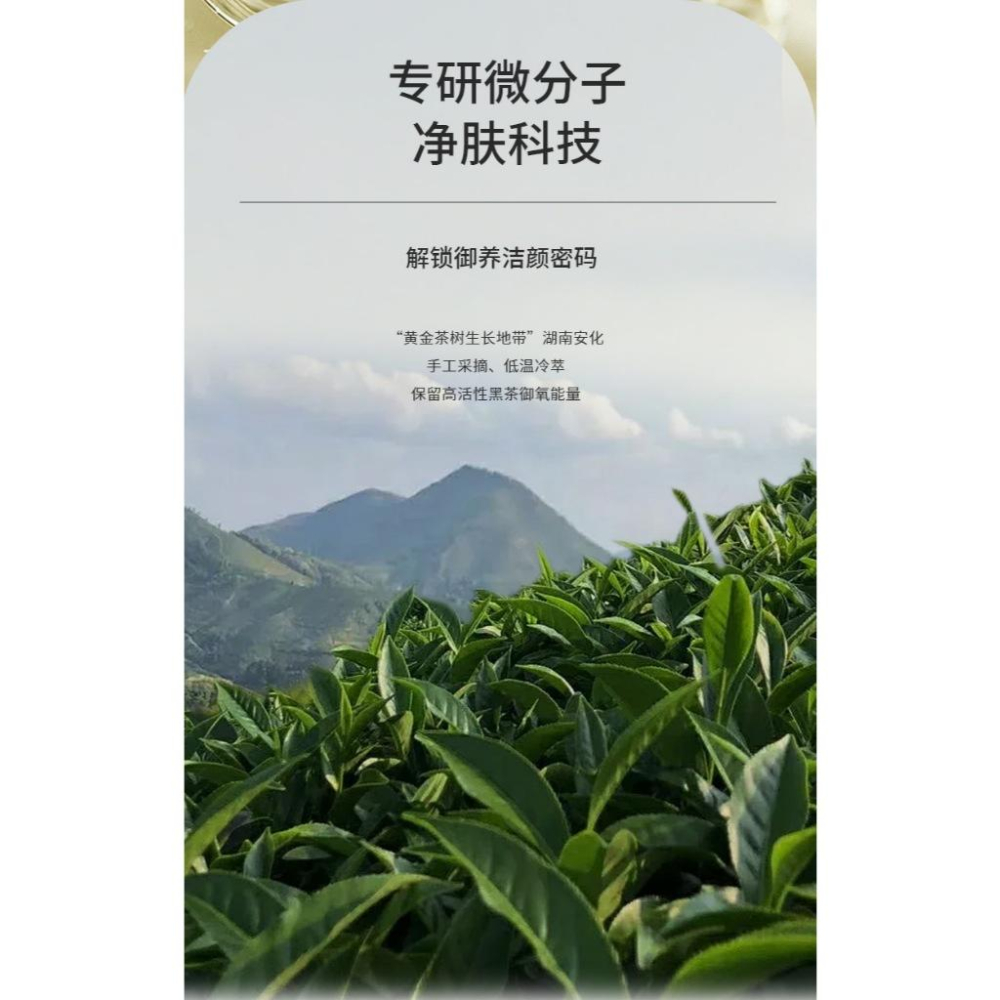 台灣出貨~淨透潔顏蜜 黑茶潔顏蜜 胺基酸卸妝蜜  卸妝洗面乳 氨基酸 清潔 潔顏蜜 卸妝乳 卸妝蜜 洗面奶 洗卸二合一-細節圖3