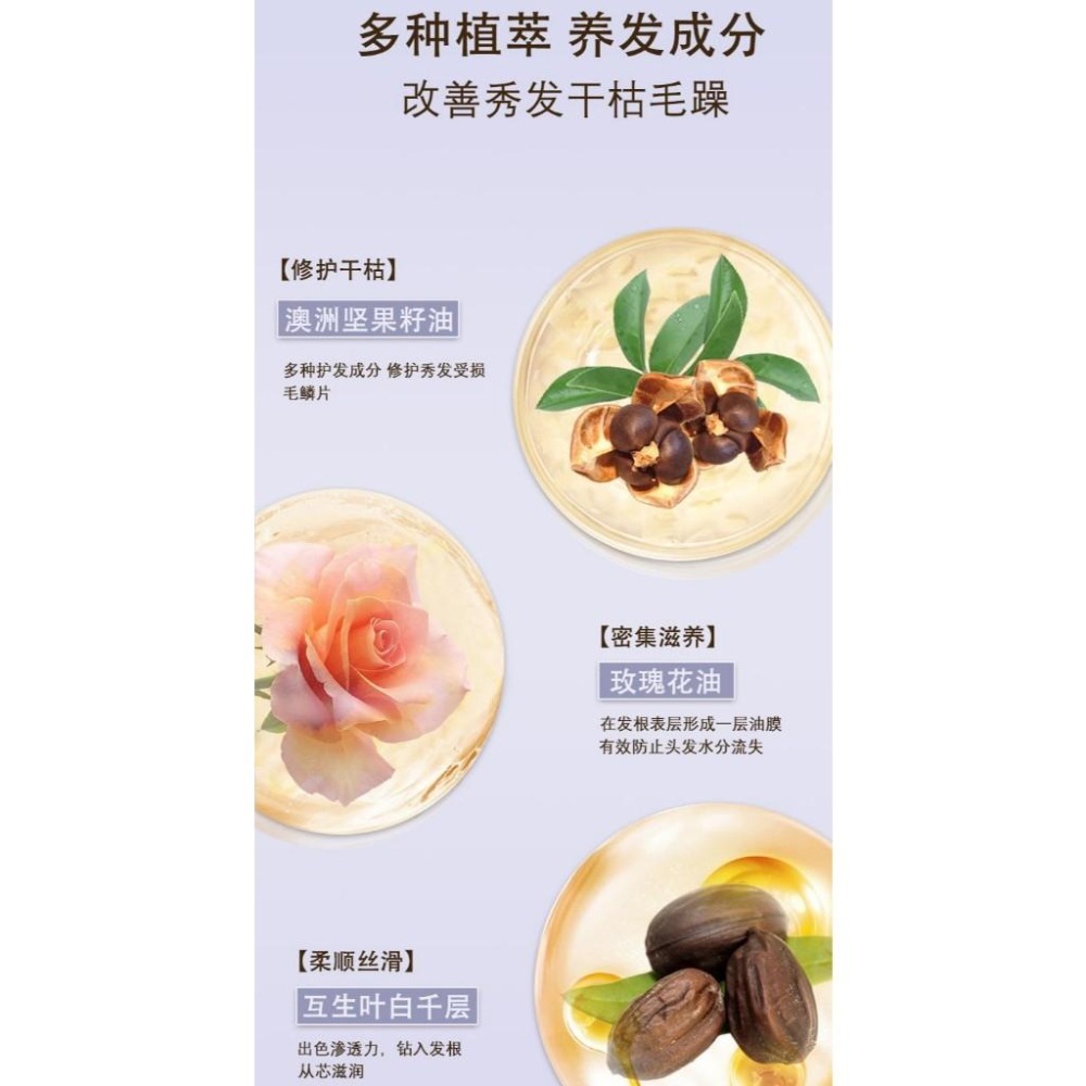 台灣發貨~玫瑰護髮精油100ML 玫瑰護髮精油 玫瑰香水護髮精油 茶籽油護髮精油 髮尾油 護髮油*免沖洗-細節圖4