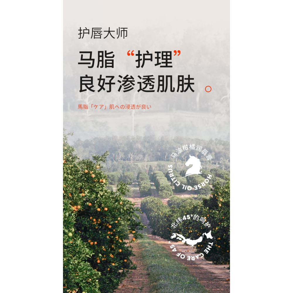 台灣發貨~馬油護唇膏 馬油潤唇膏 綿羊油唇膏 綿羊油護唇膏 潤唇膏 角鯊烷護唇膏 淡化唇紋 保濕滋潤-細節圖7