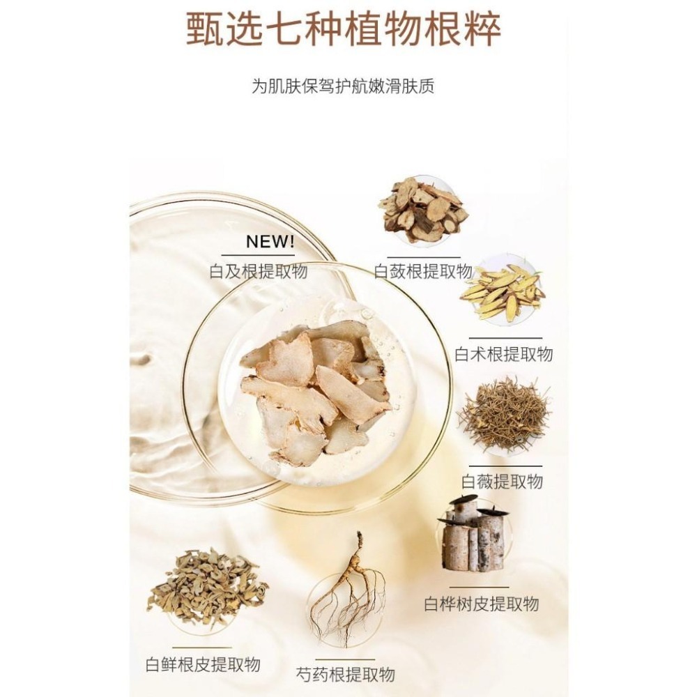 七子粉洗面乳 七子白洗面乳 七子粉氨基酸洗面乳 黄芪洗面乳 七子粉潔面奶 洗面奶 草本洗面乳-細節圖5
