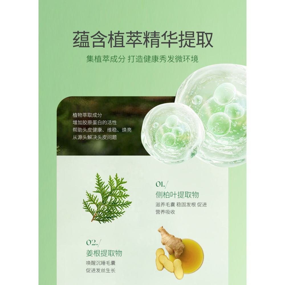 草本養髮 側柏葉洗髮精 人參何首烏洗髮精 洗髮露 側柏葉洗髮水 黑靈芝洗髮精 頭皮保養 養髮 控油 洗髮乳-細節圖2
