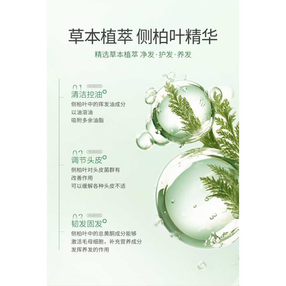 草本養髮 側柏葉洗髮精 人參何首烏洗髮精 洗髮露 側柏葉洗髮水 黑靈芝洗髮精 頭皮保養 養髮 控油 洗髮乳-細節圖4