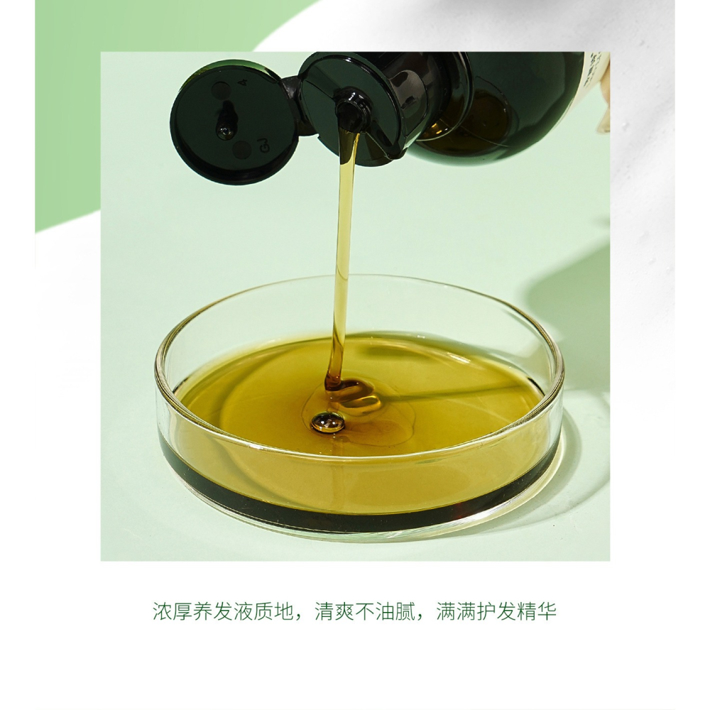 草本養髮 側柏葉洗髮精 人參何首烏洗髮精 洗髮露 側柏葉洗髮水 黑靈芝洗髮精 頭皮保養 養髮 控油 洗髮乳-細節圖11