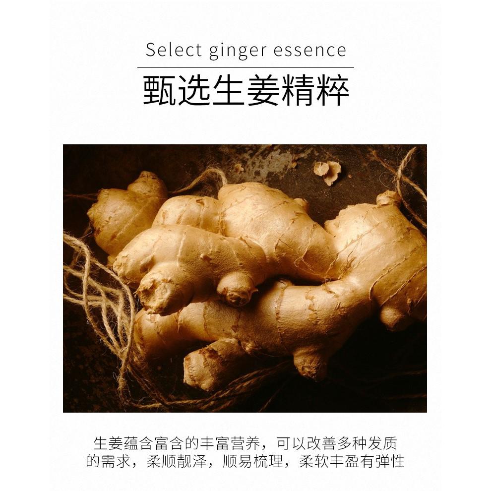 生薑護髮素 生薑髮膜 免蒸燙染護修護髮素 生薑潤髮乳 護髮膜 生薑護髮乳 潤絲-細節圖3