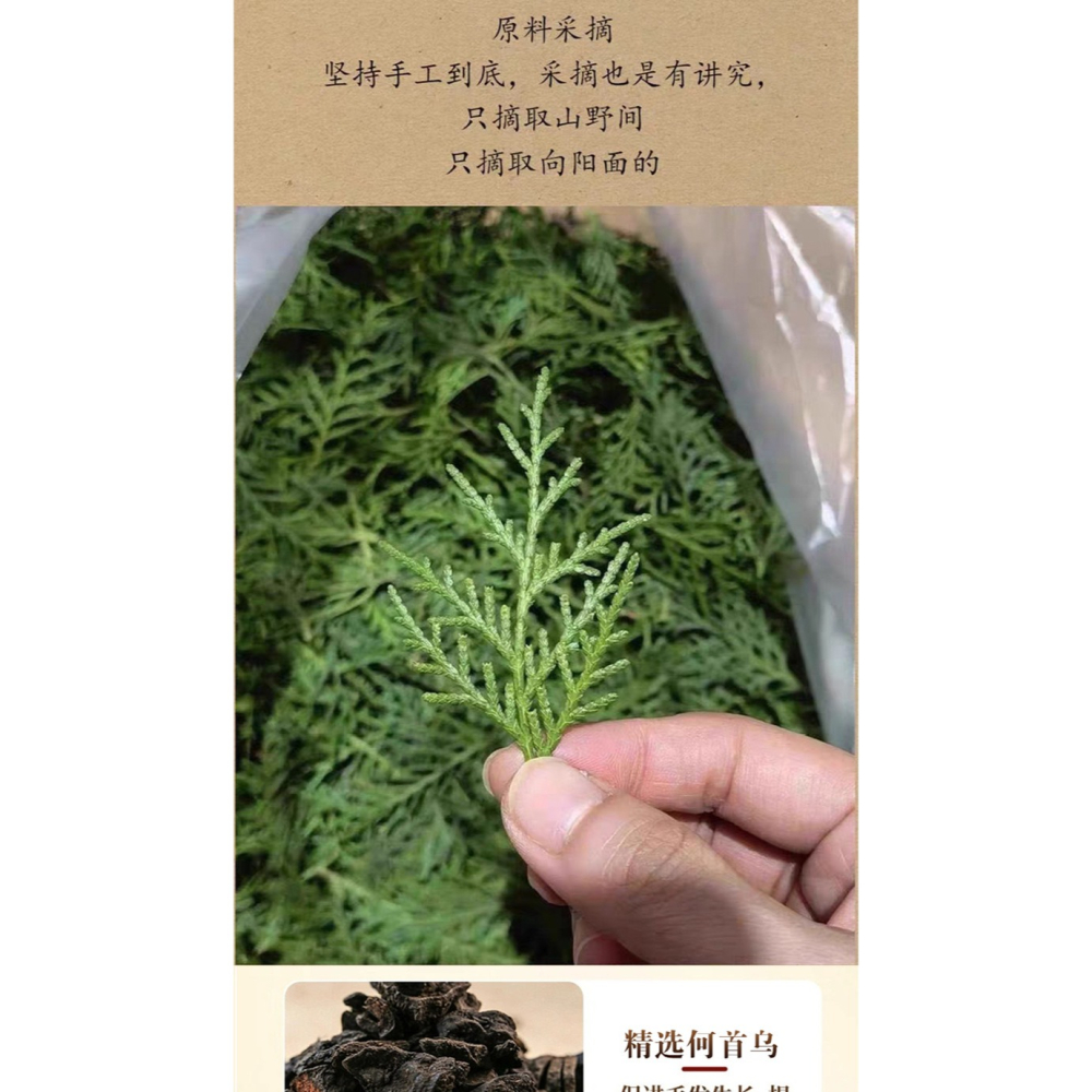 新北發貨~🌰無患子側柏葉洗頭皂 人參何首烏側柏葉洗頭皂 何首烏洗頭皂 人參洗頭皂 無患子洗頭皂 無患子皂-細節圖6