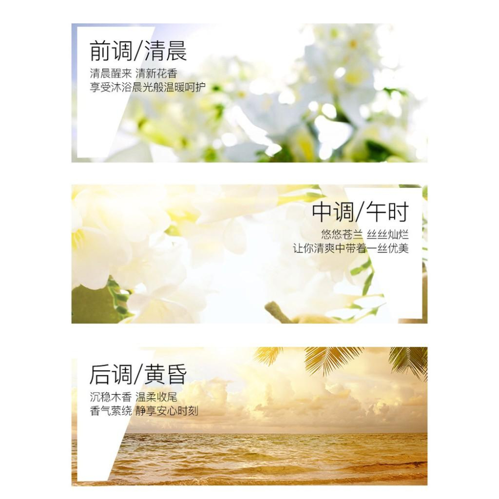 SENANA 24K黃金沐浴露 550ML 小蒼蘭香水沐浴露  血橙沐浴露 沐浴乳 溫和潔淨 留香  潤膚保濕-細節圖7