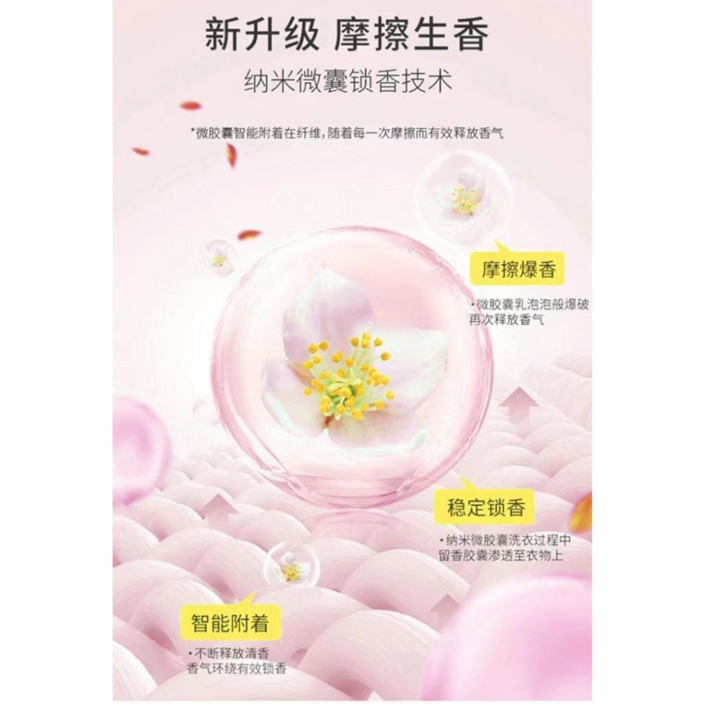 衣物香氛豆 香香豆 洗衣芳香顆粒 香香豆 衣物芳香豆 衣物芳香顆粒 香香粒 衣服芳香劑-細節圖5