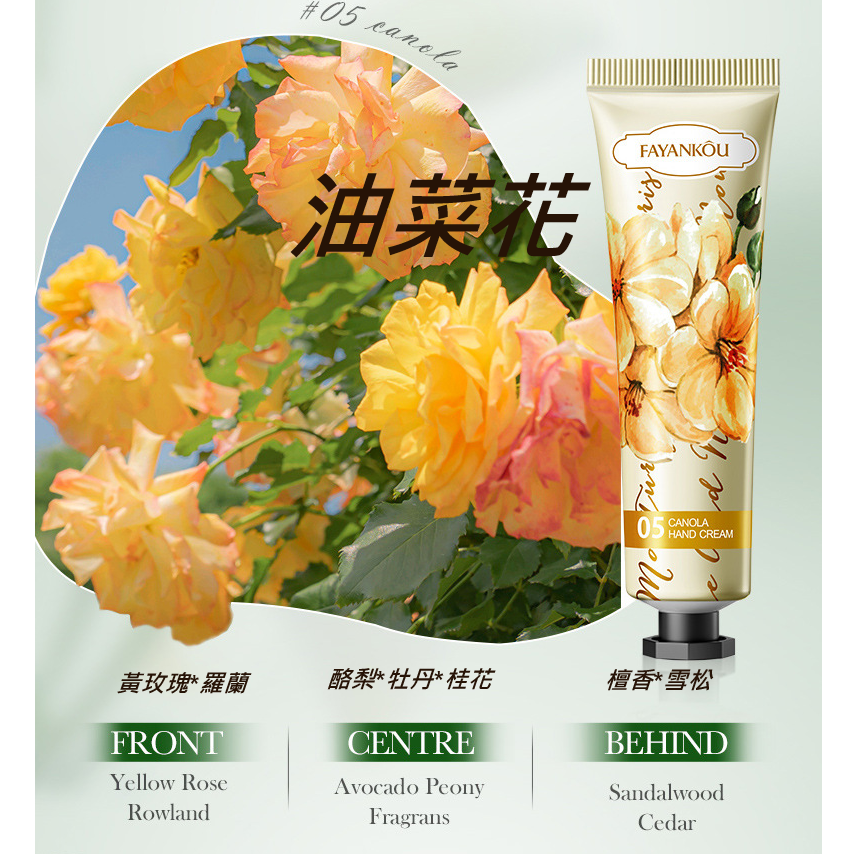 FK~油菜花
