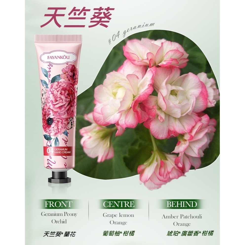 FK~天竺葵