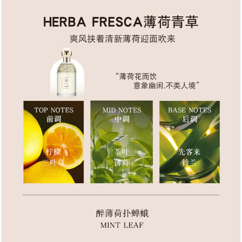 🪻Jean miss 花草水語淡香水100ml 小城伊香香水 花草水語女士香水 淡香水 香氛 花果香調香水-規格圖11