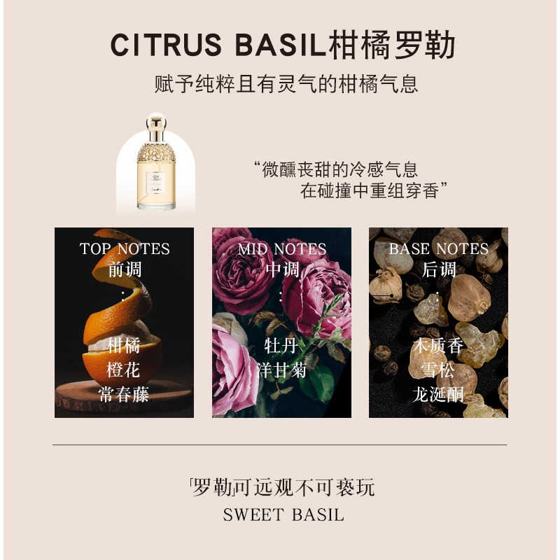 YT5171-02柑橘羅勒