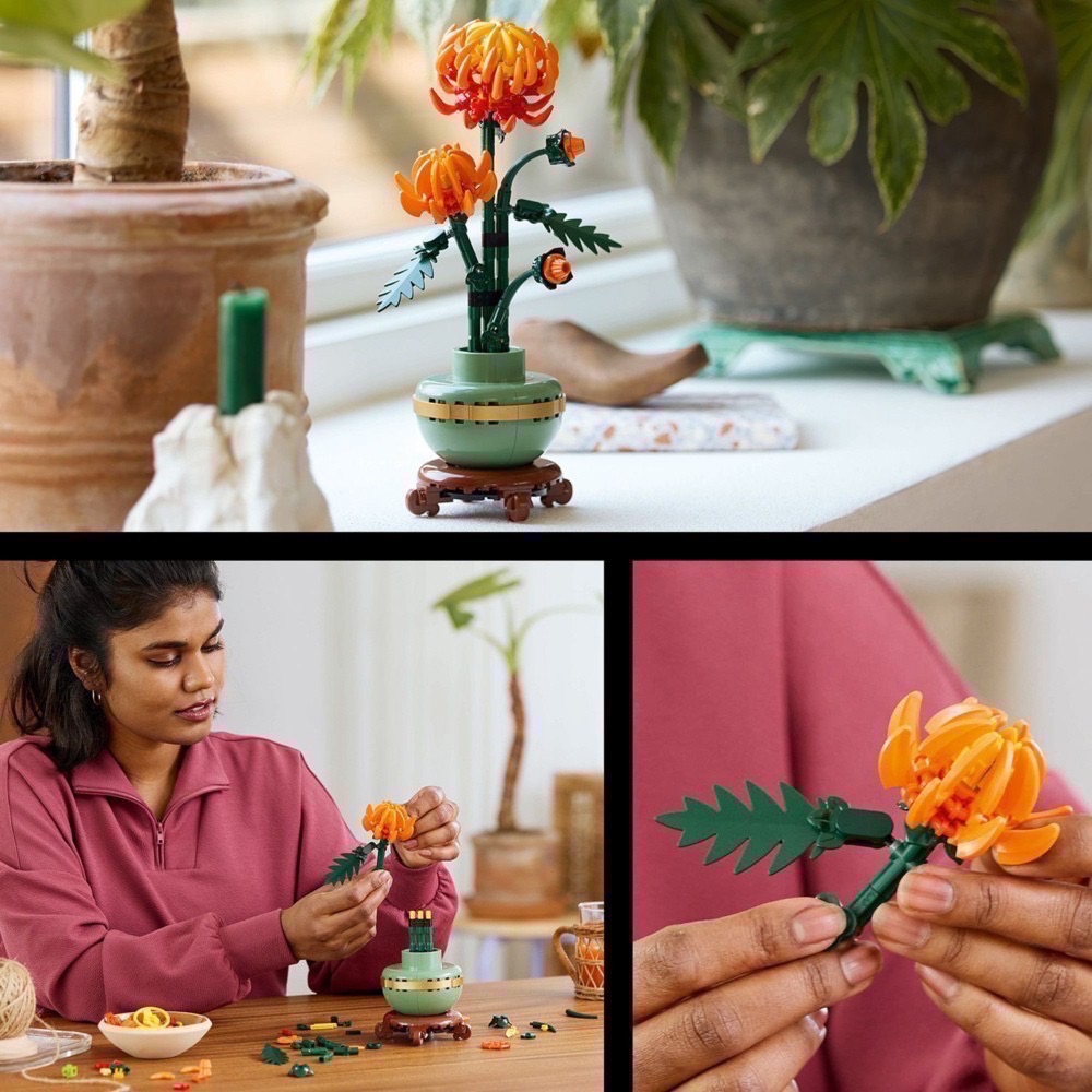 《屁桃柑仔店》現貨LEGO 10368 菊花-Icons系列-細節圖2