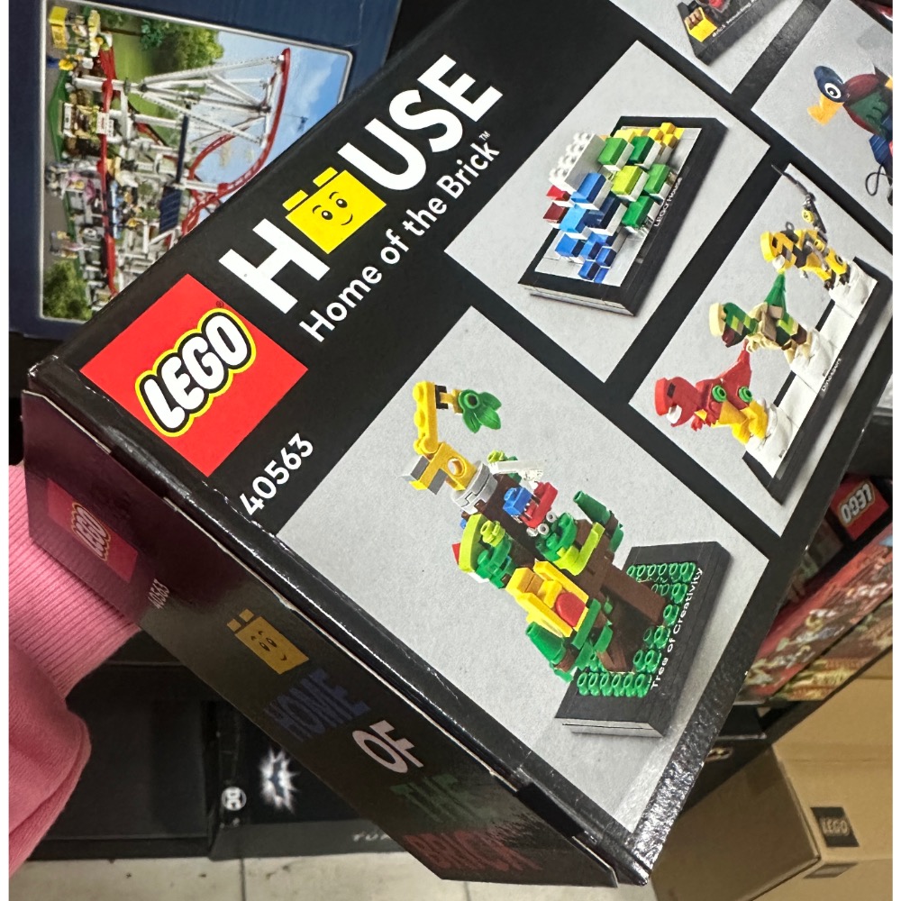 《屁桃柑仔店》現貨LEGO 40563 丹麥樂高之家-細節圖2