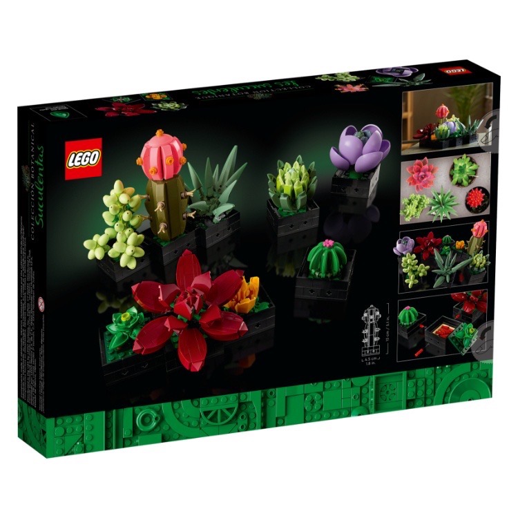 《屁桃柑仔店》現貨 LEGO 10309 多肉植物-細節圖2