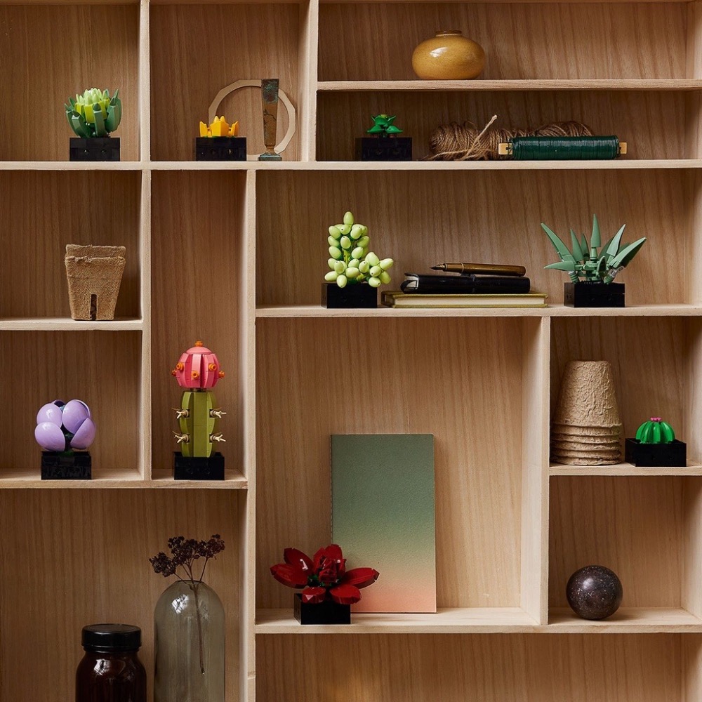 《屁桃柑仔店》現貨 LEGO 10309 多肉植物-細節圖5