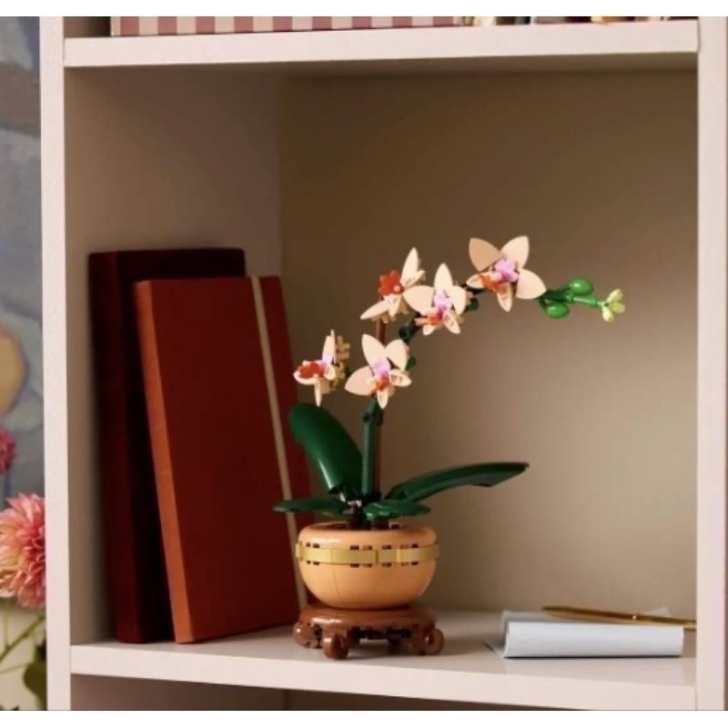 《屁桃柑仔店》現貨LEGO 10343 迷你蘭花 10344 開運竹-細節圖5