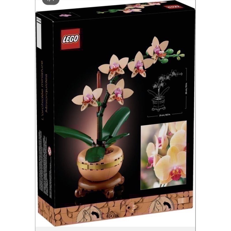 《屁桃柑仔店》現貨LEGO 10343 迷你蘭花 10344 開運竹-細節圖3
