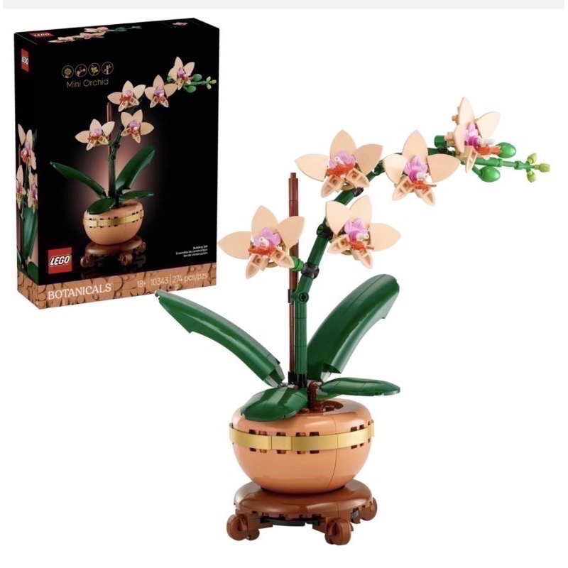 10343 迷你蘭花（好盒）