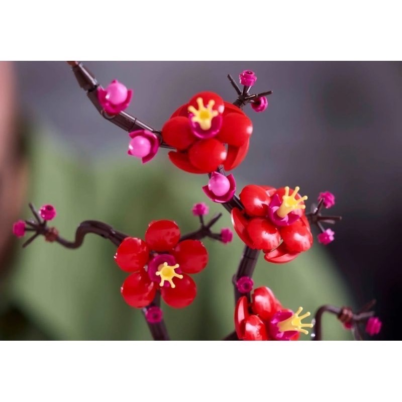 《屁桃柑仔店》現貨LEGO 10369 梅花 -ICONS系列-細節圖4