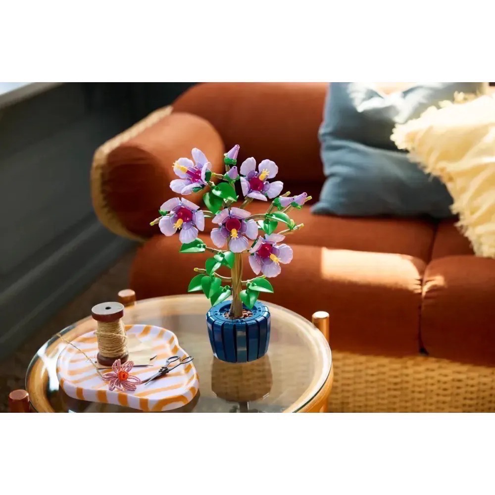 《屁桃柑仔店》現貨LEGO  10372  木槿 -ICONS系列-細節圖5