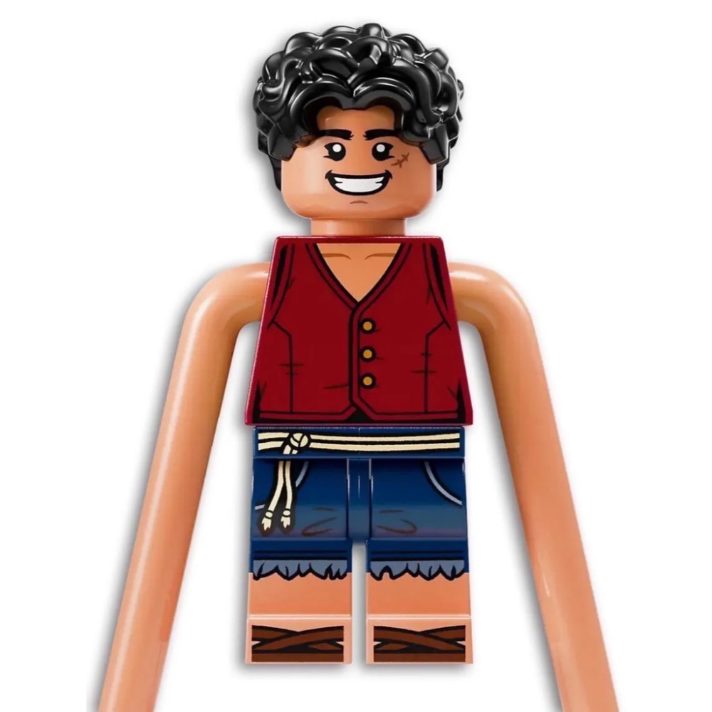 《屁桃柑仔店》現貨LEGO 75638 惡龍樂園之戰 -航海王系列-細節圖7