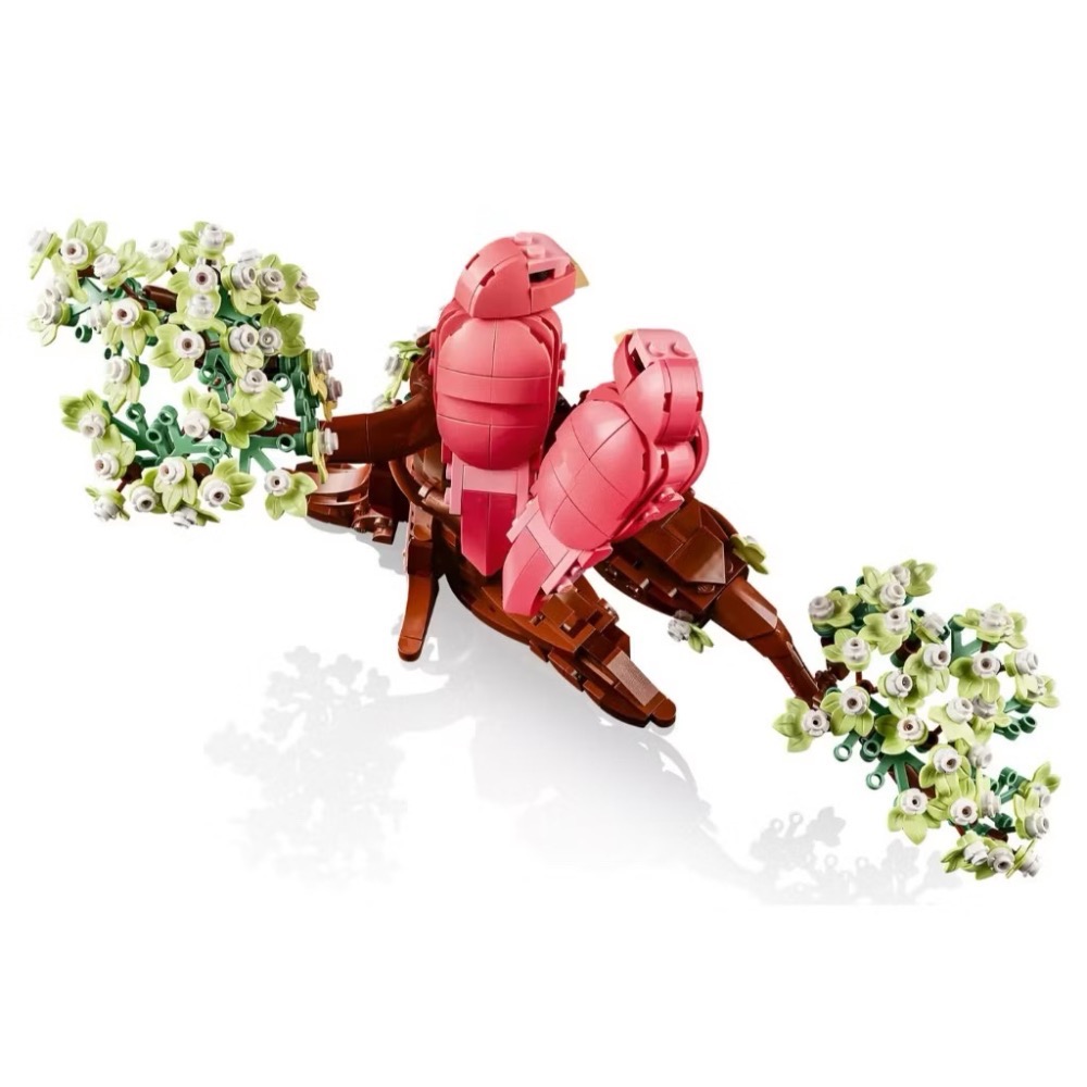 《屁桃柑仔店》現貨LEGO 21365 情侶鸚鵡 -IDEAS系列-細節圖5