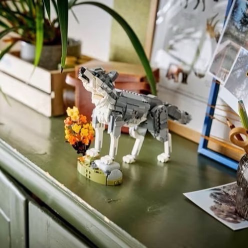 《屁桃柑仔店》現貨LEGO 31393  森林動物：灰狼 獵鷹 浣熊-創意百變3合1系列-細節圖3