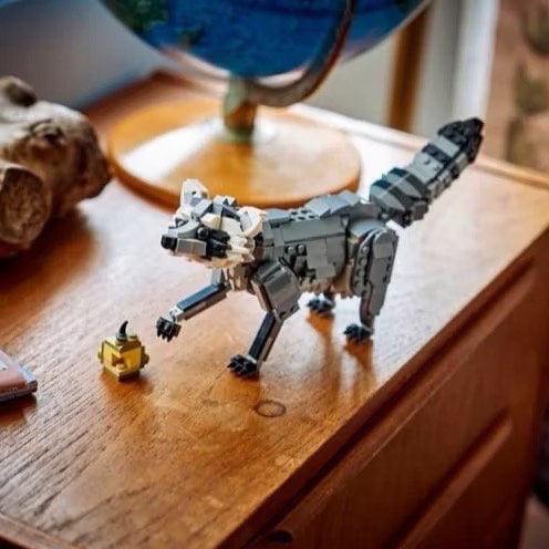 《屁桃柑仔店》現貨LEGO 31393  森林動物：灰狼 獵鷹 浣熊-創意百變3合1系列-細節圖5