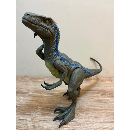 現貨💕二手 ￼Mattel 侏羅紀世界 巨型迅猛龍小藍 恐龍玩具