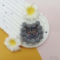 韓國飾品 -毛毛球動物刺繡 別針兼壓夾-規格圖9