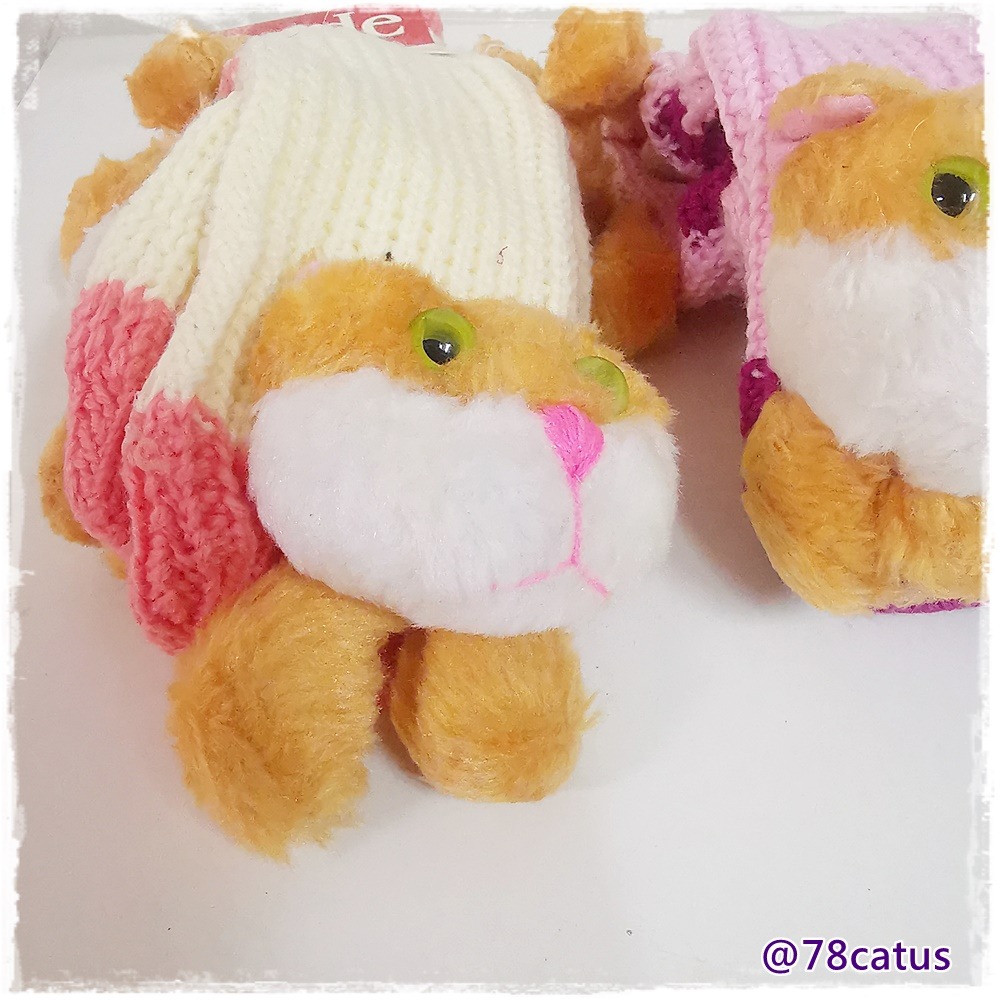 現貨 居家地板襪 貓咪 老虎【78catus 義賣 幫助浪貓】-細節圖5