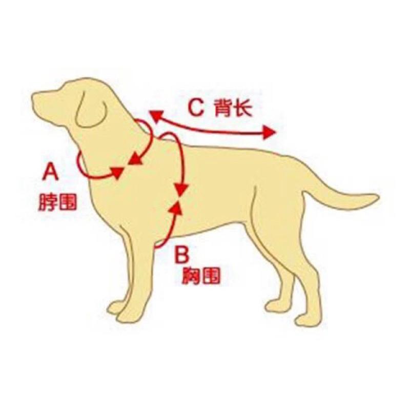[台灣現貨]寵物狗狗法鬥巴哥科技恐龍防水輕透雨衣 防水 加大 防潑水 反光 雨衣 下雨必備 梅雨季 寵物雨衣 套腳雨衣-細節圖5