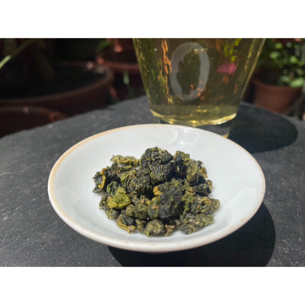 <千味藏茶>2024年春茶 華崗青心烏龍 梨山茶 高山茶 烏龍茶-細節圖3