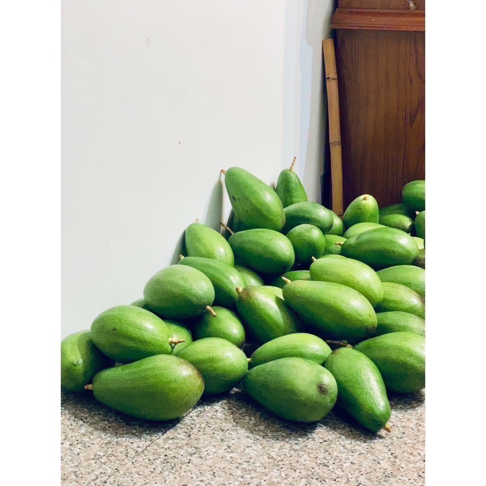 🥑優美果鋪🥑 酪梨 中生種酪梨  紅嬌酪梨 南投名間 好味酪梨🥑 新鮮直送 不搶收未熟果-細節圖2