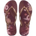 現貨巴西人字拖Havaianas 女款 Slim organic 花系列/11款-規格圖7