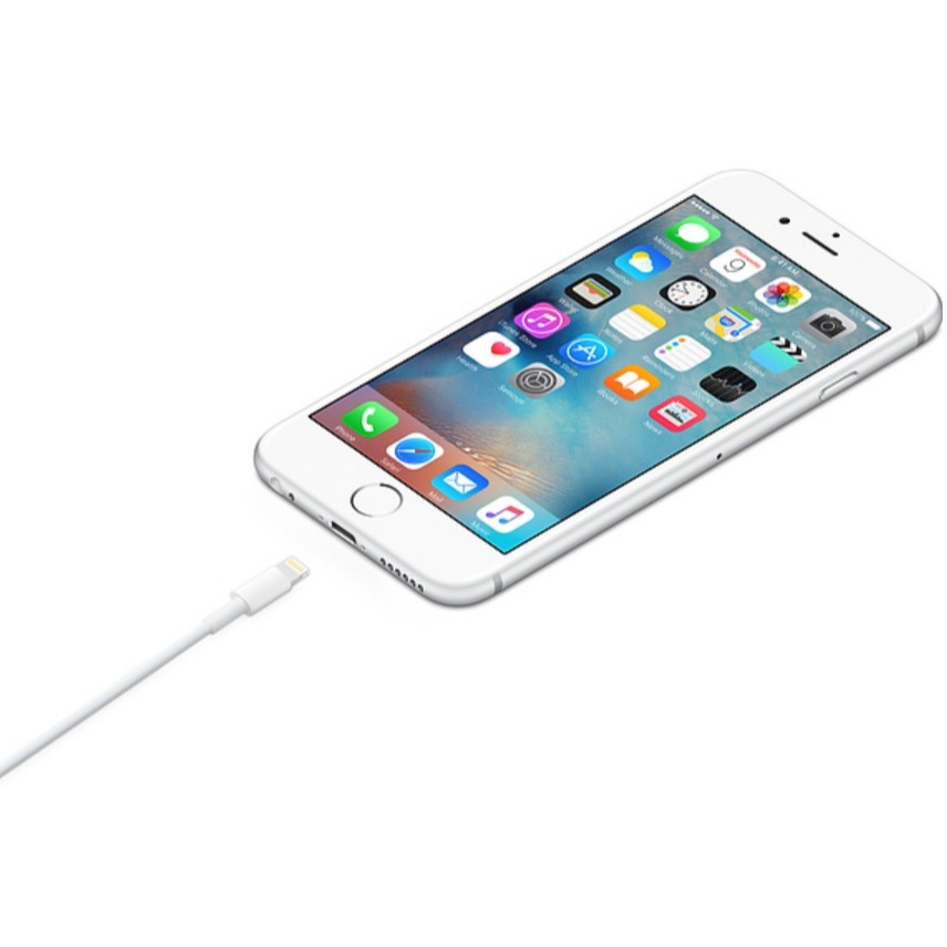 Apple Lightning 對 USB 連接線 (1 公尺) 【Lightning 充電傳輸線】-細節圖3