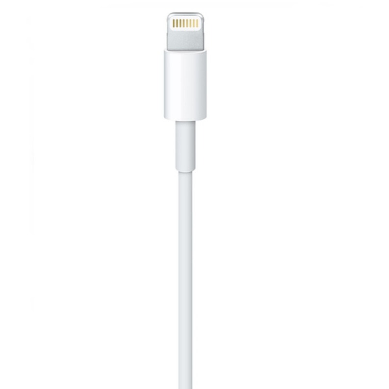 Apple Lightning 對 USB 連接線 (1 公尺) 【Lightning 充電傳輸線】-細節圖4