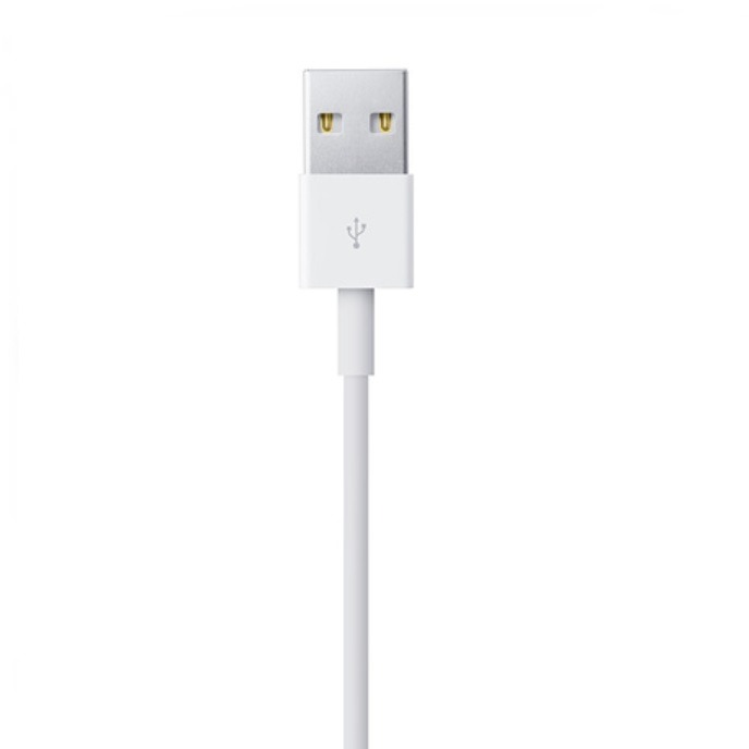 Apple Lightning 對 USB 連接線 (1 公尺) 【Lightning 充電傳輸線】-細節圖5