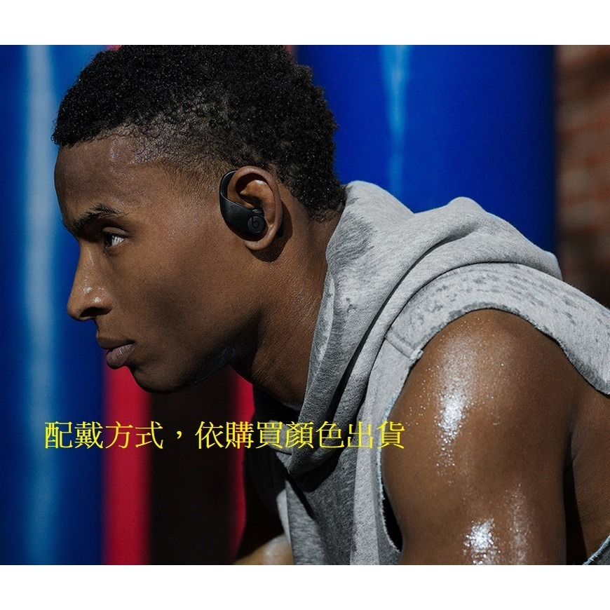 Beats Powerbeats Pro 真無線藍牙耳機 APPLE公司貨 (A2047、A2048)-細節圖8