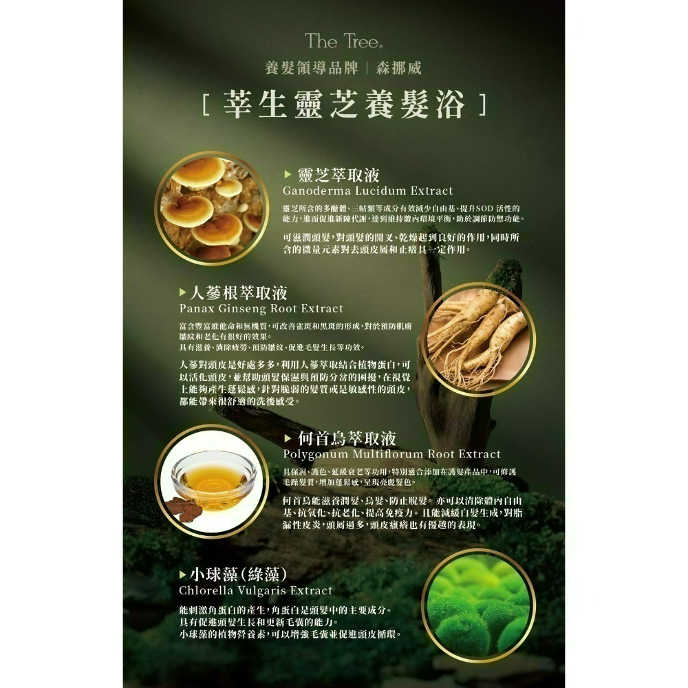 【雙十一雙倍贈送季】落髮救星 莘生靈芝養髮浴 森挪威最強新品-細節圖7