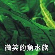 微笑的魚水族☆Seachem-西肯【底床污泥有機物分解劑100ml.250ml.500ml】-細節圖2