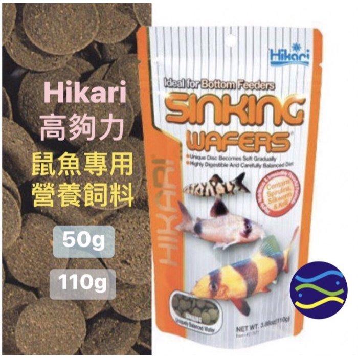 微笑的魚水族☆Hikari-高夠力【鼠魚專用營養飼料15g.50g.80g.110g】鼠魚專用營養飼料.⿏科⿂飼料-細節圖8