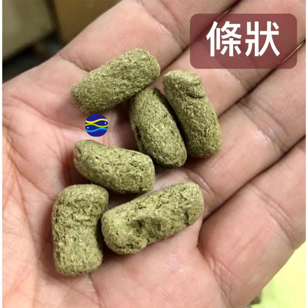 微笑的魚水族☆JS-絕色【(龜仙糧)長仙 陸龜主食飼料 250g.1kg(大粒/小粒)】-細節圖8