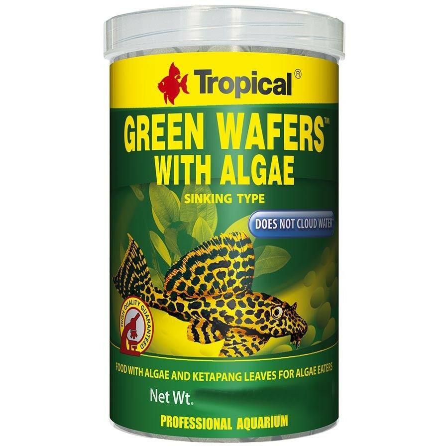 微笑的魚水族☆Tropical-德比克【異型.底棲魚完美全餐 100g(分裝包)】-細節圖2