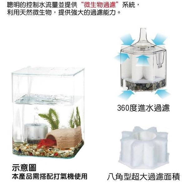 微笑的魚水族☆日本進口【迷你mini 水妖精組】內置空氣過濾器-細節圖5