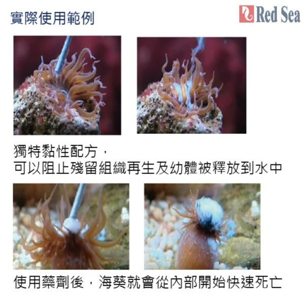 微笑的魚水族☆Red Sea-紅海【垃圾海葵清除劑60ml.250ml.400ml】海水缸添加劑-細節圖3