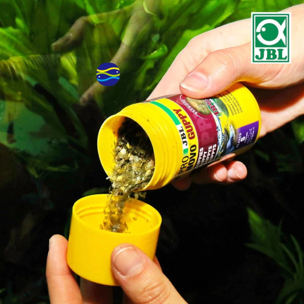 微笑的魚水族☆JBL-珍寶【Novo Guppy孔雀魚專用飼料100ml.250ml】孔雀 小型魚 薄片 繁殖 孔雀飼料-細節圖5