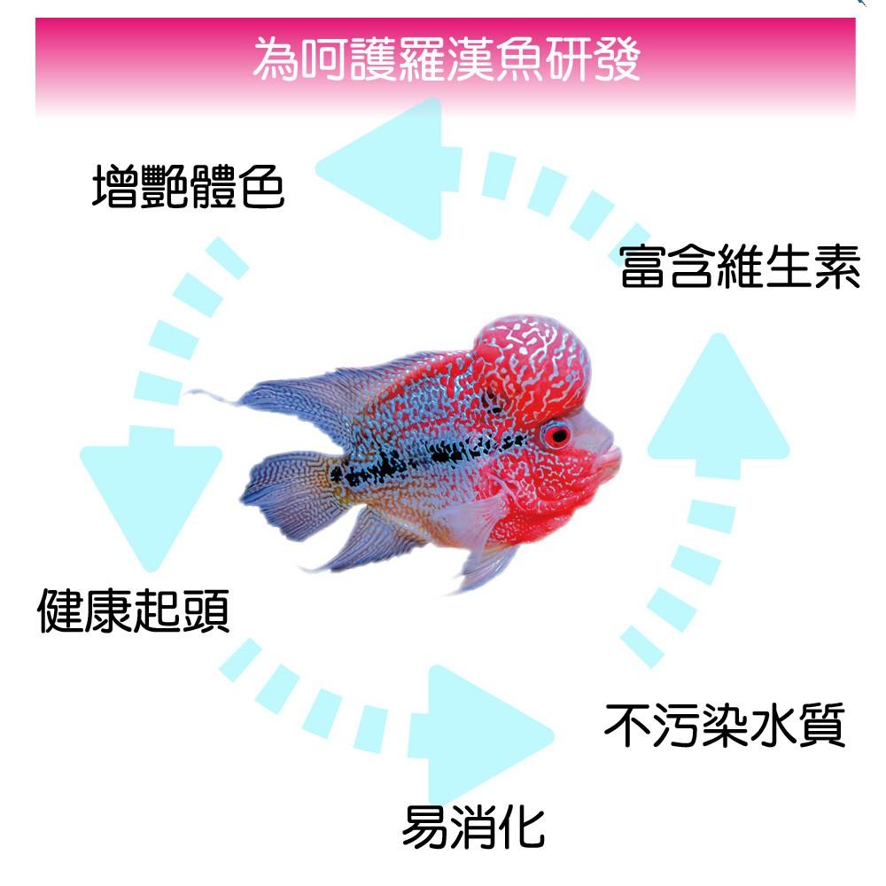 微笑的魚水族☆Tetra-德彩【花羅漢增艷飼料250ml.1L/1000ml】專為花羅漢設計-細節圖3